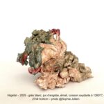 Sophie-Jollain-Végétal