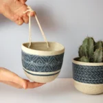 Carole-kALTENBACHER-plante